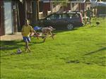 Sweden 2007-08 260